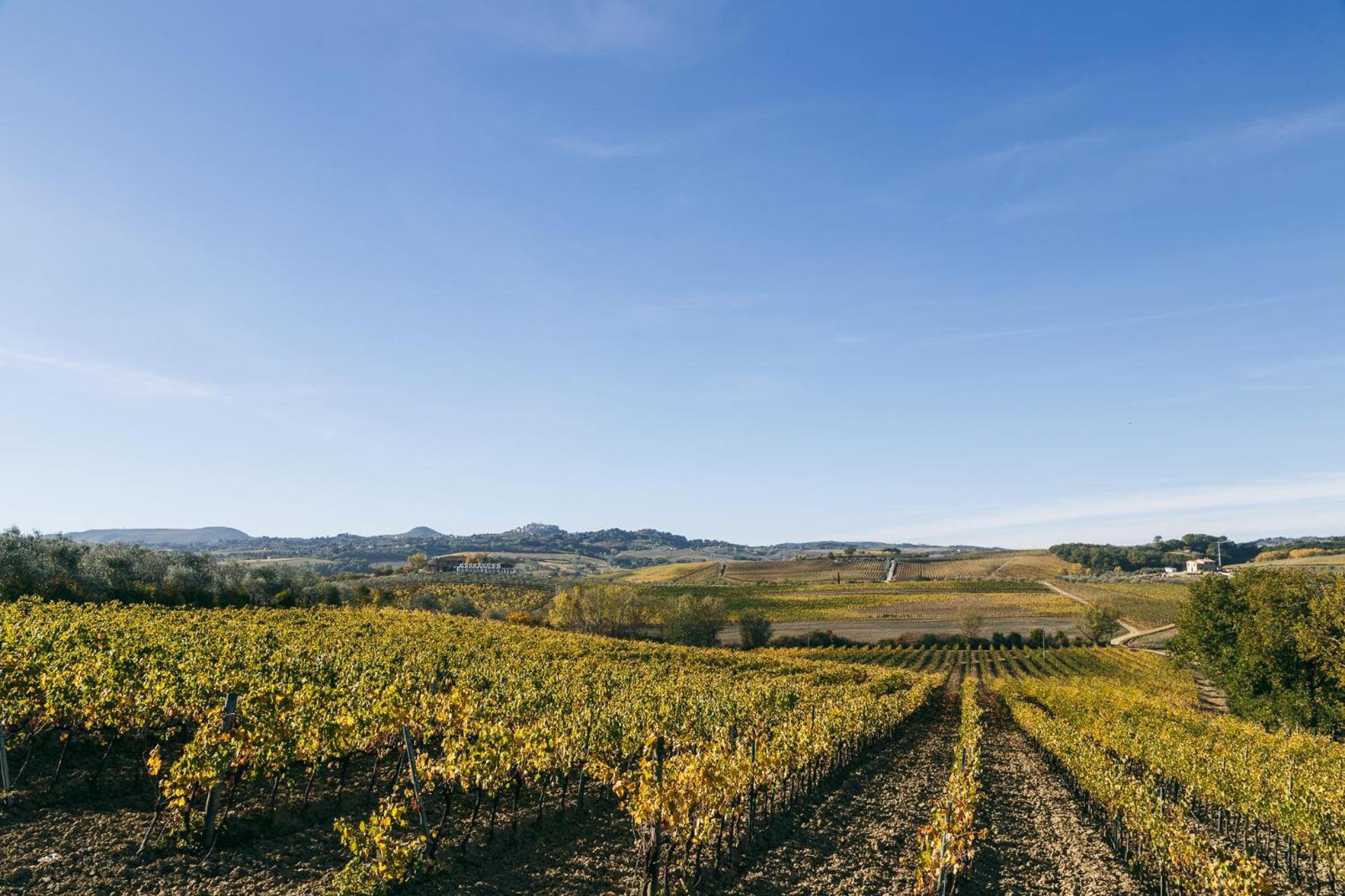 L'Orto Di Panza Abbadia di Montepulciano Exterior foto