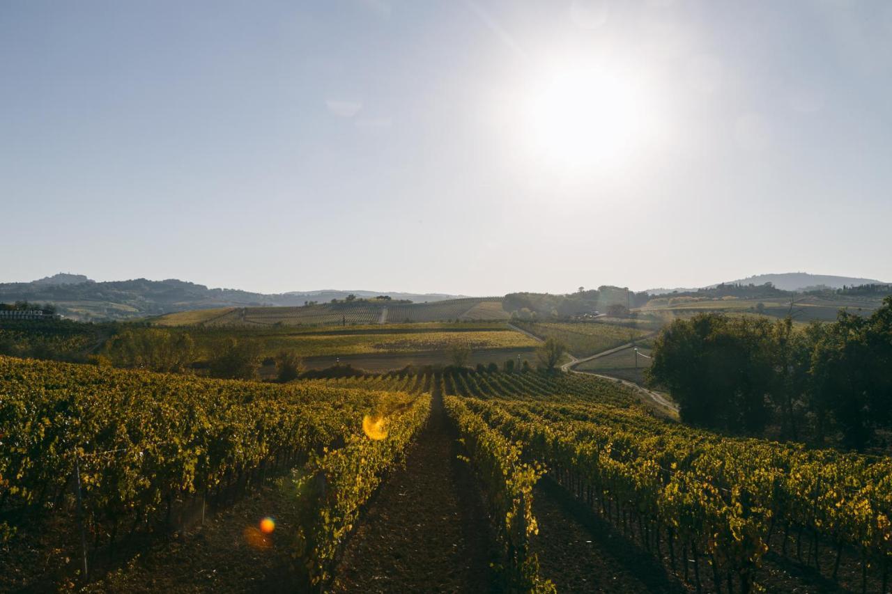 L'Orto Di Panza Abbadia di Montepulciano Exterior foto